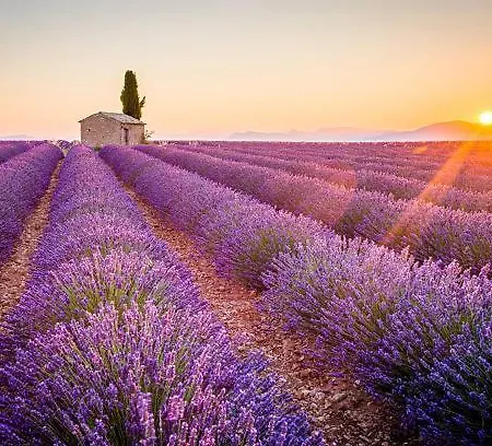T2 150 M De La Cure Thermale Gorges Du Verdon Lägenhet